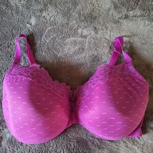 Cacique Layne Bryant Bra
